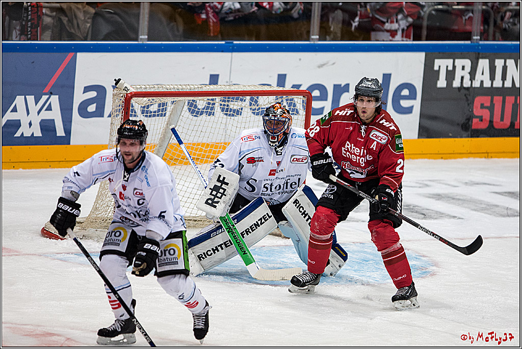 Koelner Haie - Straubing Tigers, 03.10.2016
